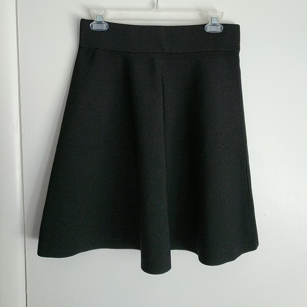 Ann Taylor skirt